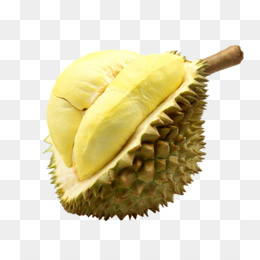 ทุเรียน ดาวน์โหลดฟรี - Durian อาหารงเพิ่มกลิ่นเพิ่มรสเข้า ...