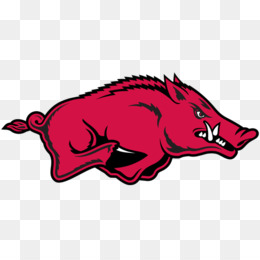 โดนัลด์เรย์โนลด์สนามกีฬา Razorback ดาวน์โหลดฟรี - อาร์คันซอ Razorbacks ...