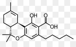 Tetrahydrocannabinolic กรด Synthase ดาวน์โหลดฟรี - Rosmarinic กรดเคมี ...